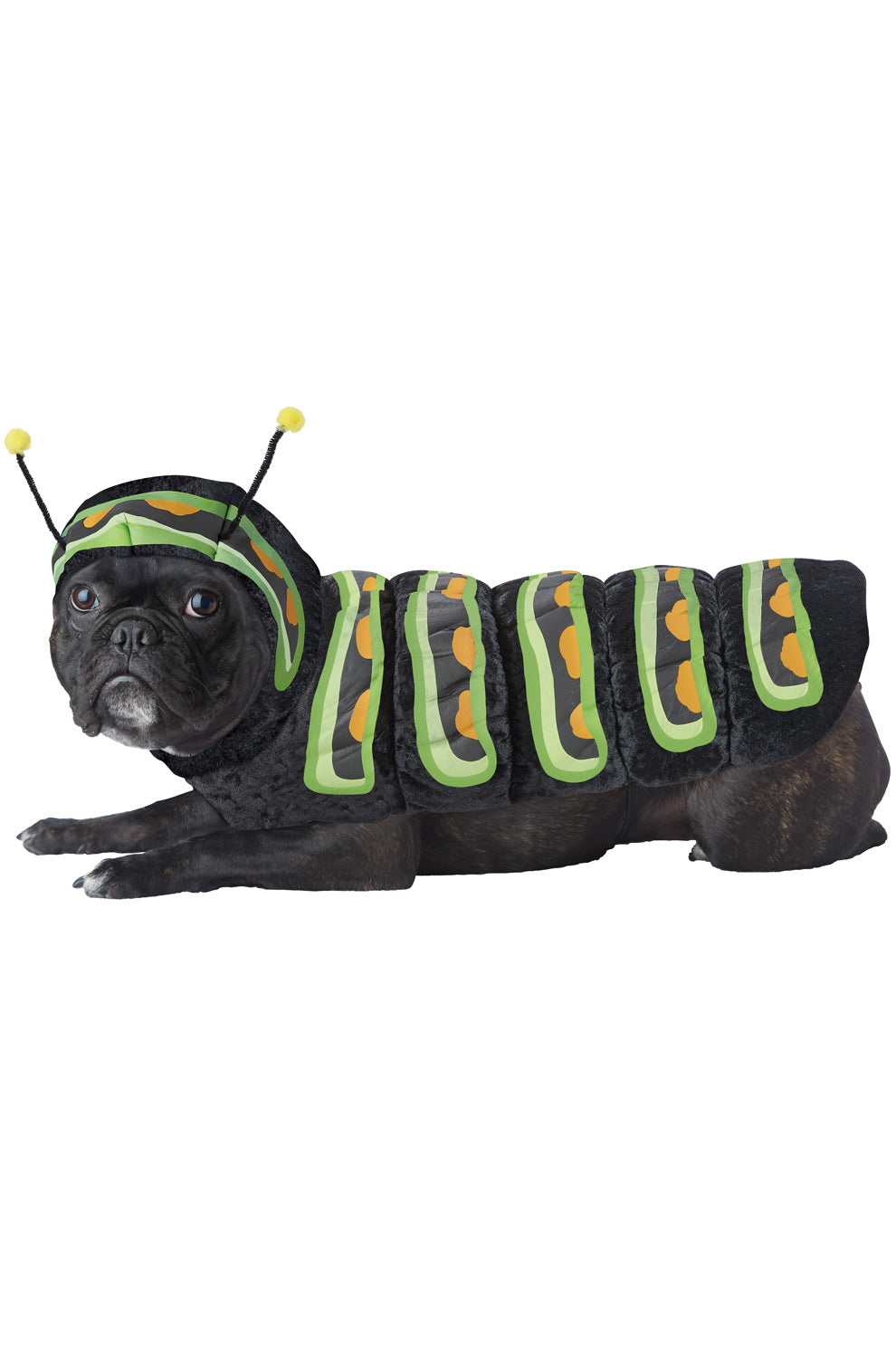 Caterpillar Pet Costume