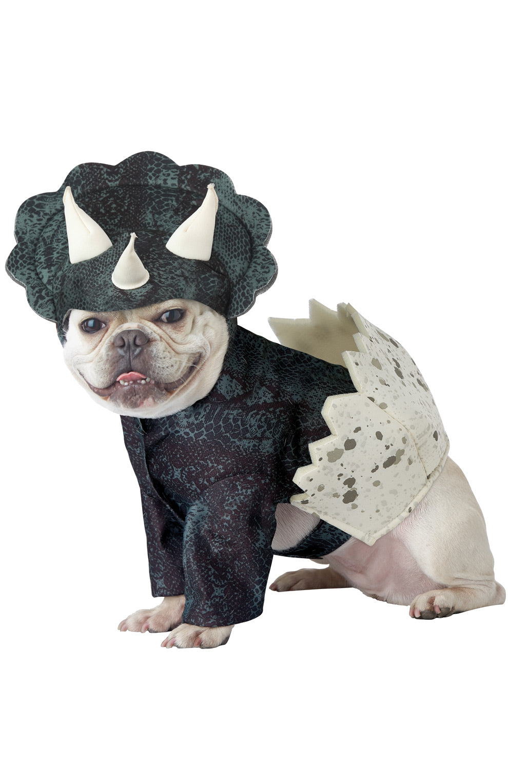 Dino Pup Pet Costume