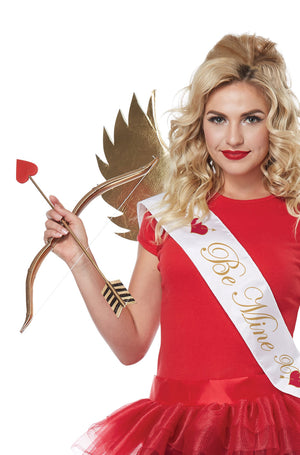 Mini Bow and Arrow Set