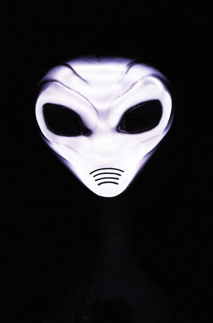 Visitor Mask (Grey)