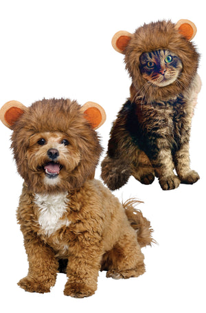 Lion Pet Hood