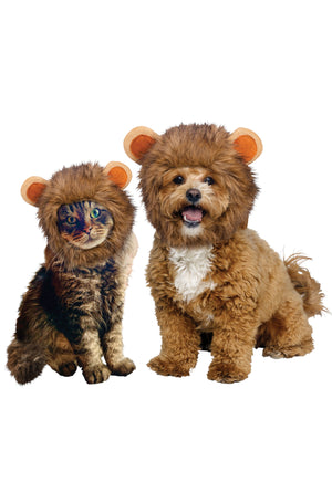 Lion Pet Hood