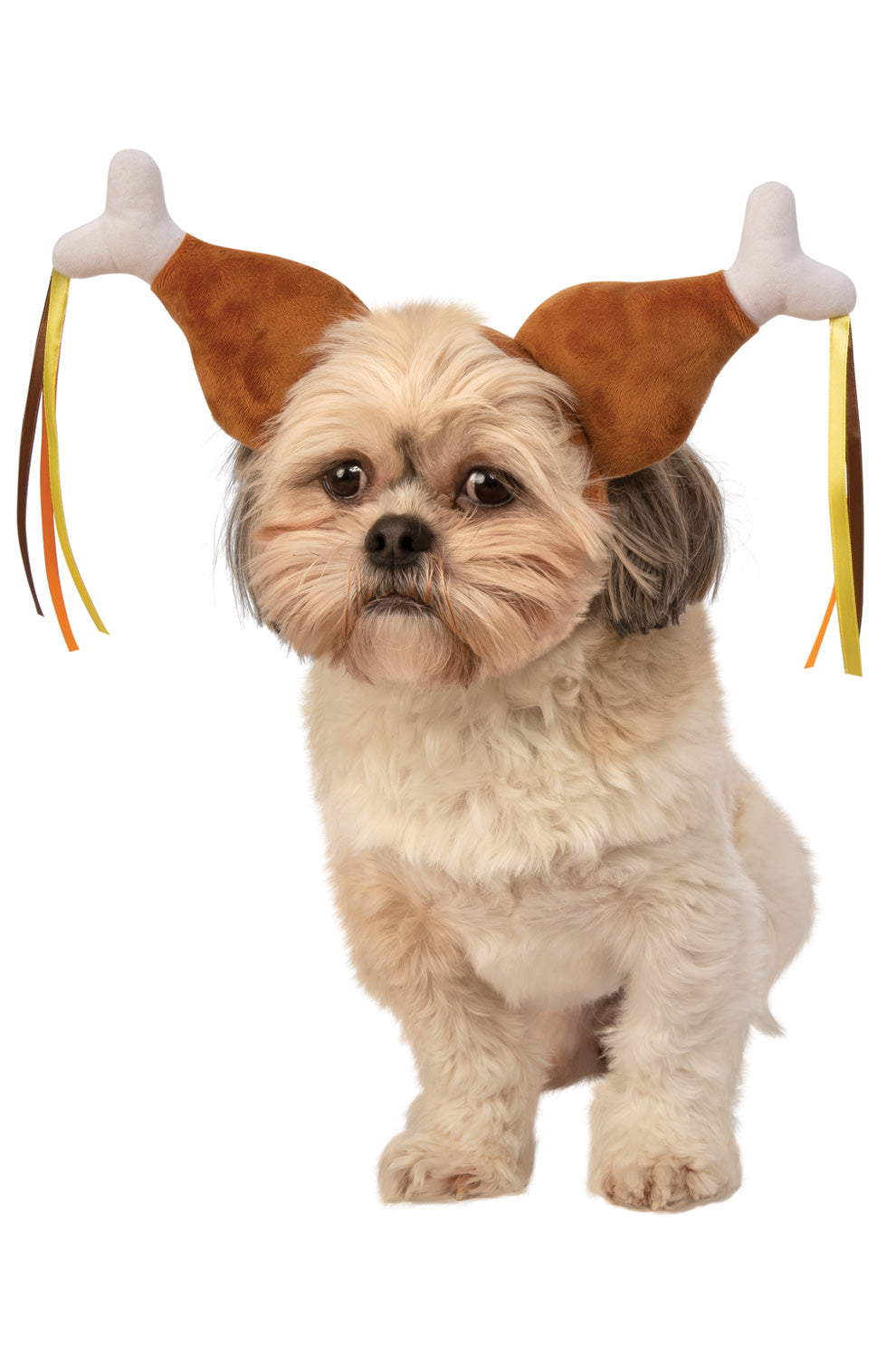 Turkey Leg Pet Boppers