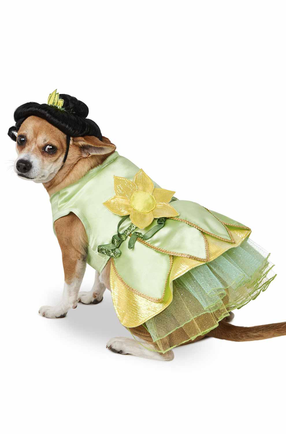 Tiana Pet Costume