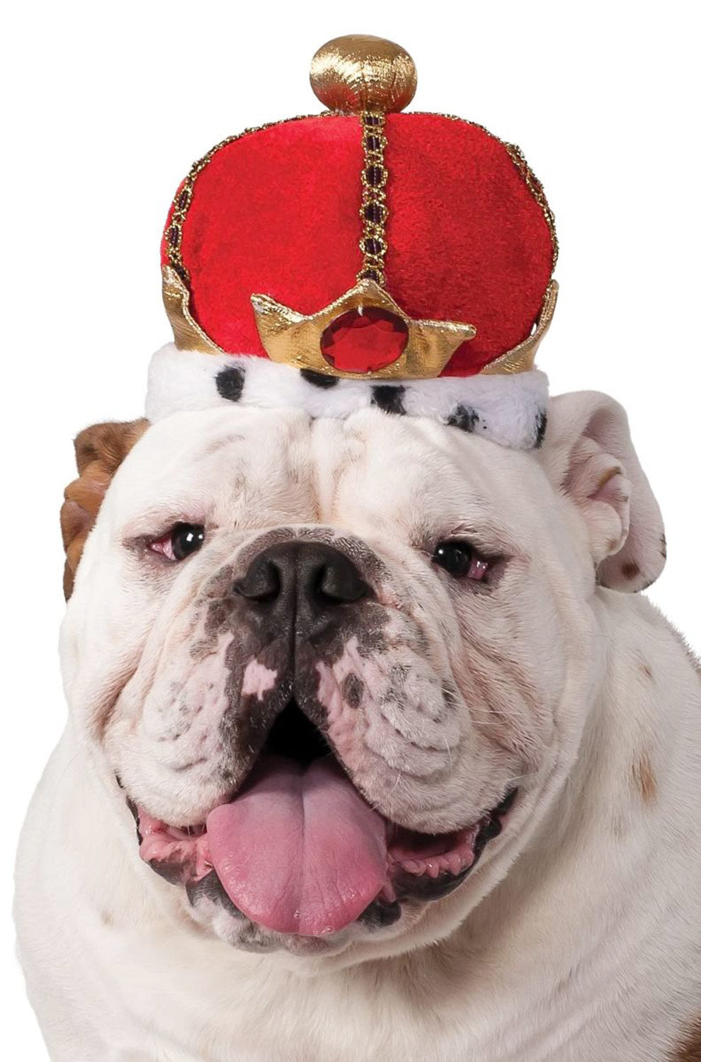 Red King Crown Pet Accessory