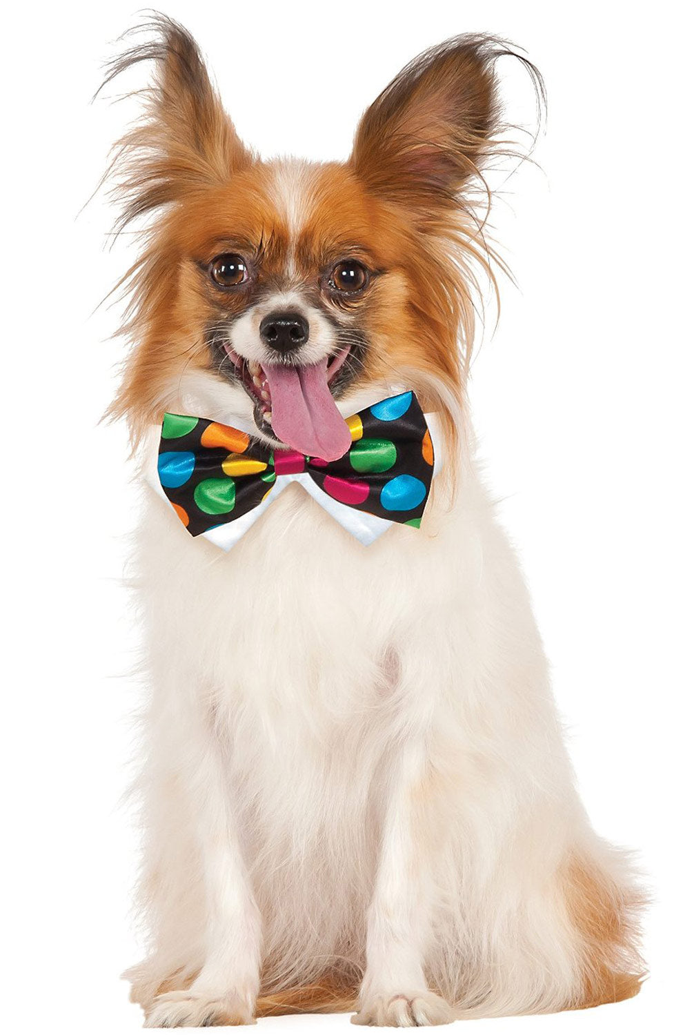 Polka Dot Bowtie Pet Accessory