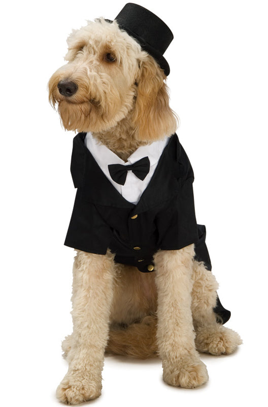 Dapper Dog Pet Costume