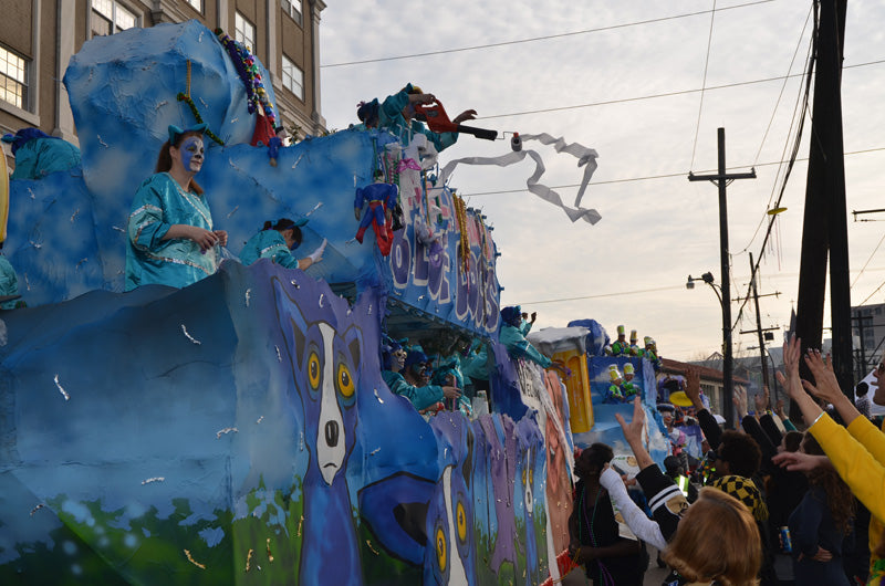 Sunday Funday: NOLA Mardi Gras 2015