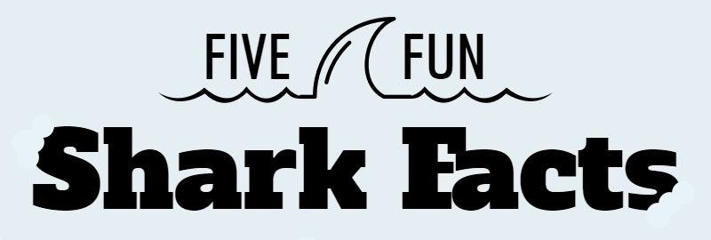 Infographic: Five Fun Shark Facts