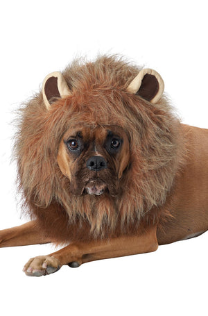 King of the Jungle Pet Costume