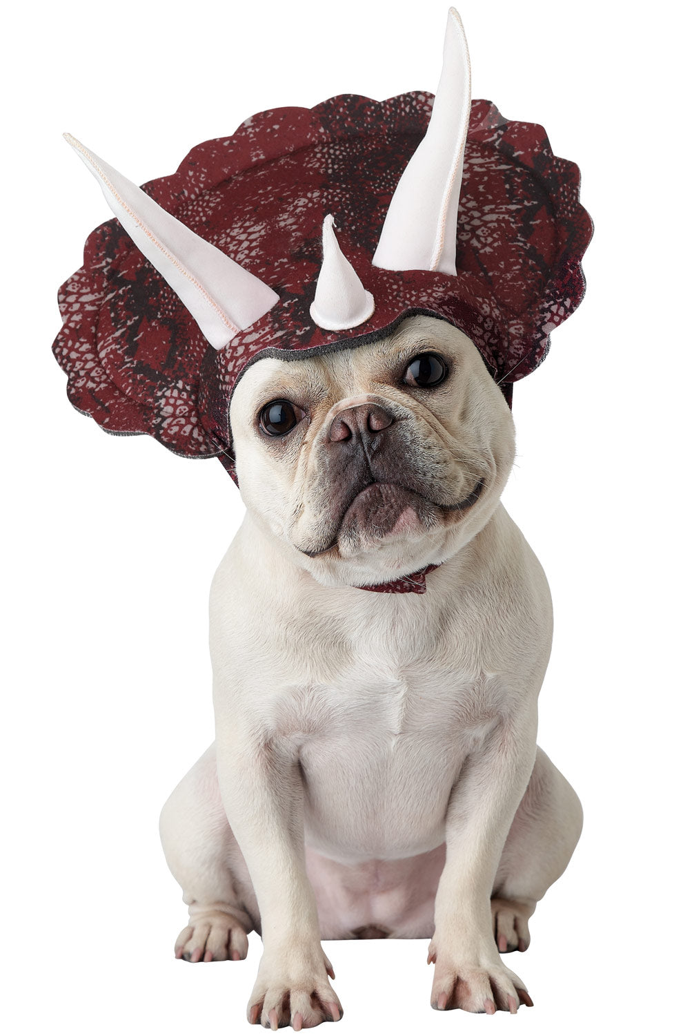 Triceradog Pet Costume