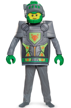Aaron Deluxe Child Costume
