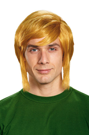 Link Adult Wig