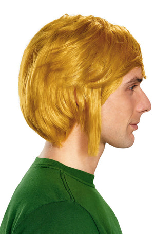 Link Adult Wig