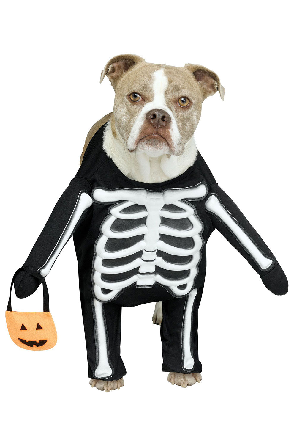 Skele-Dog Pet Costume
