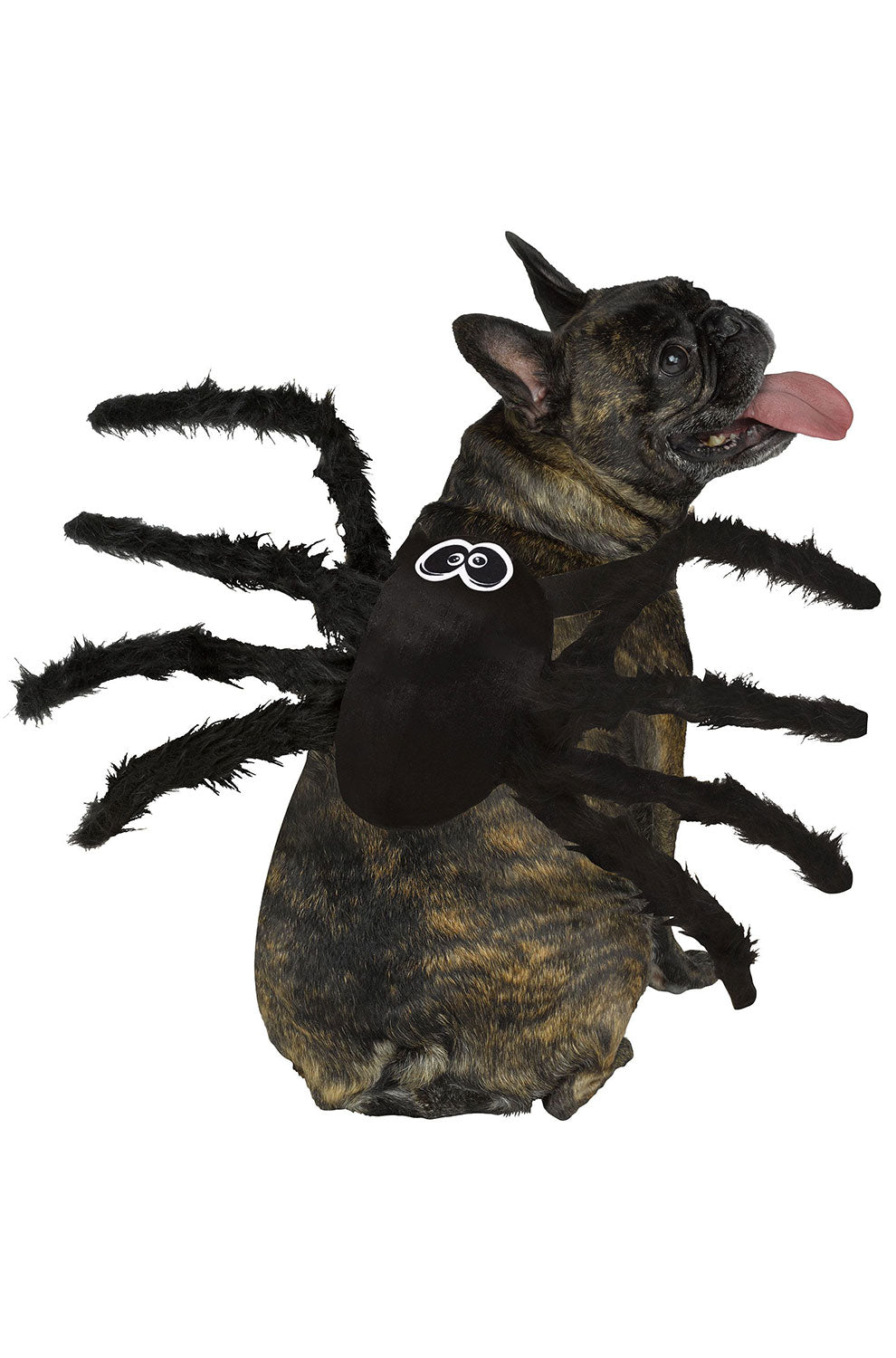 Spider Pet Costume