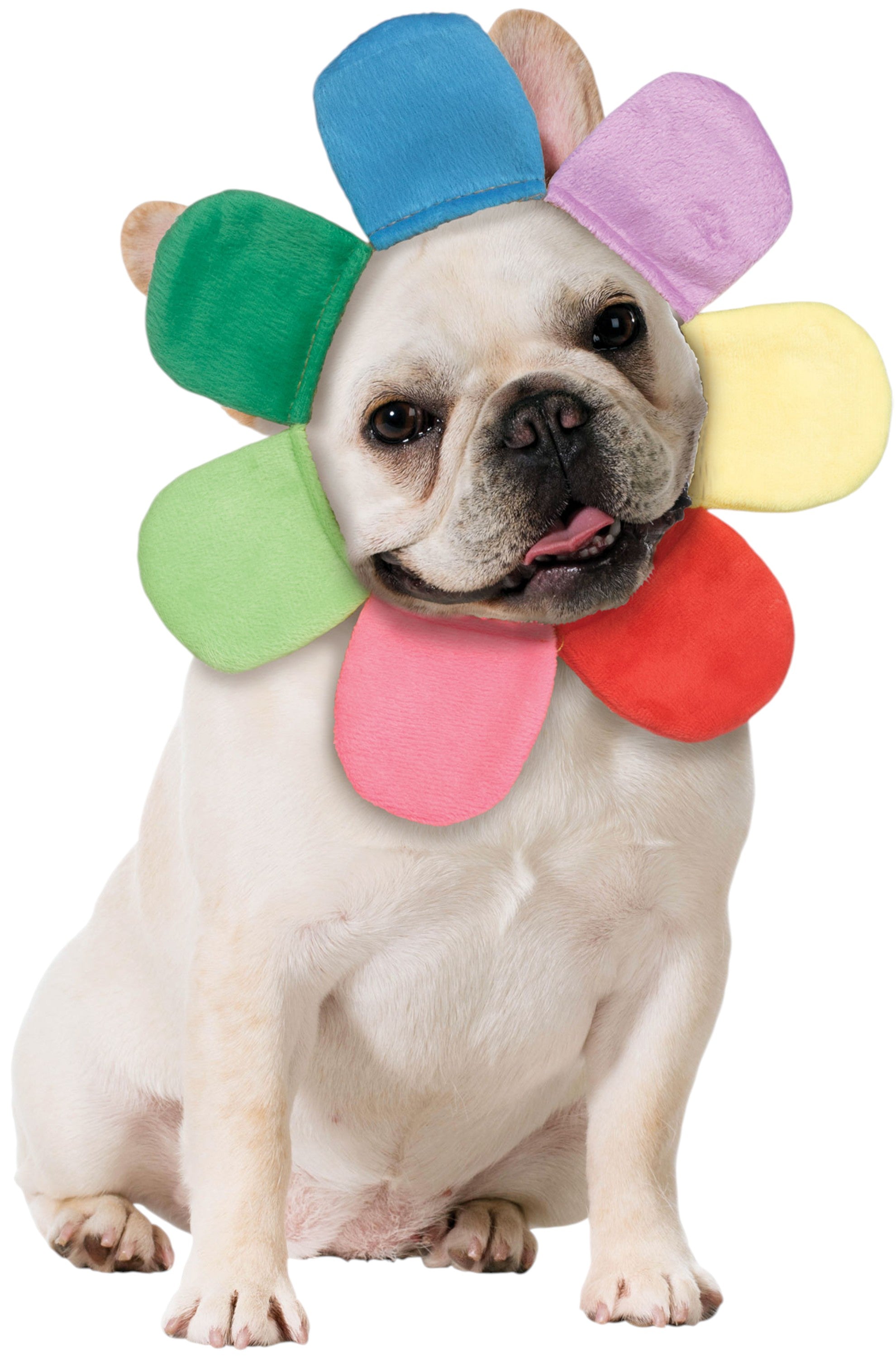 Rainbow Flower Petal Pet Hood