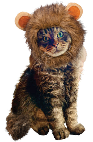 Lion Pet Hood
