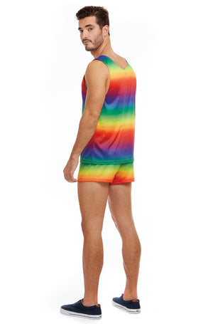 Festive Rainbow Adult Costume
