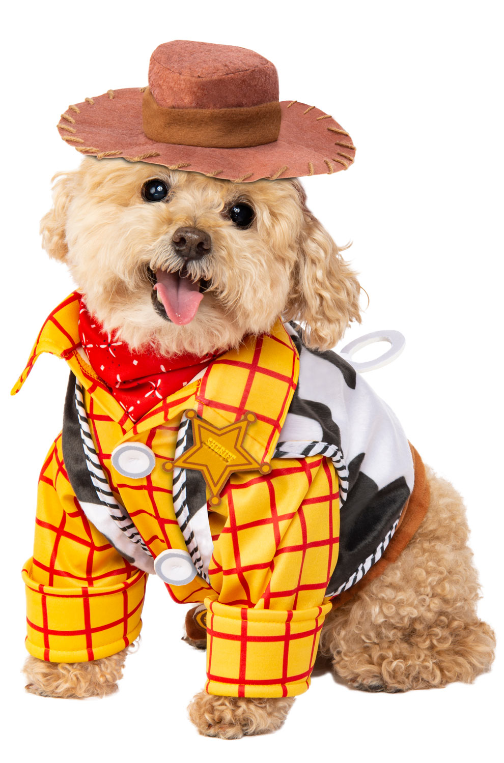 Woody Pet Costume
