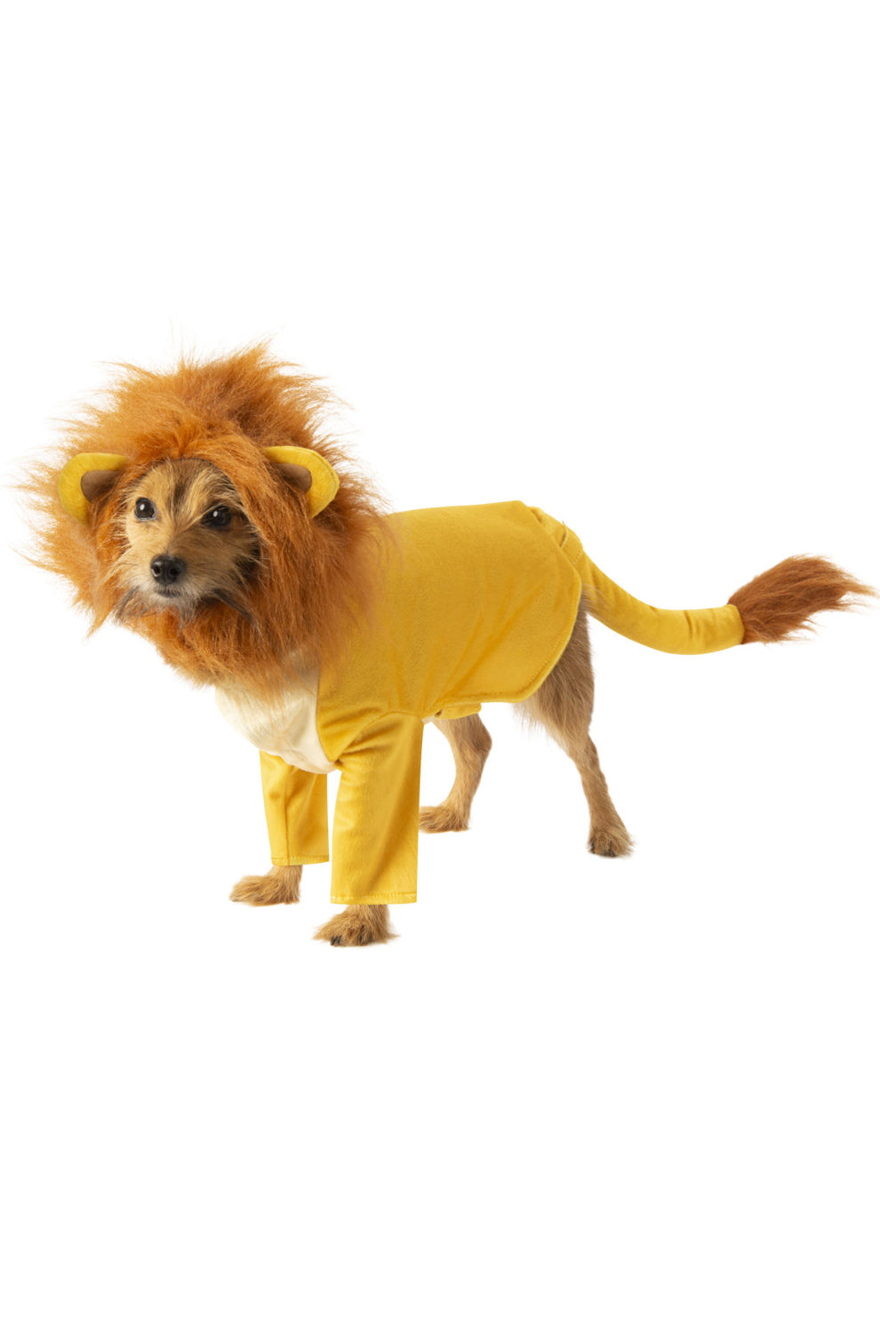 Simba Pet Costume