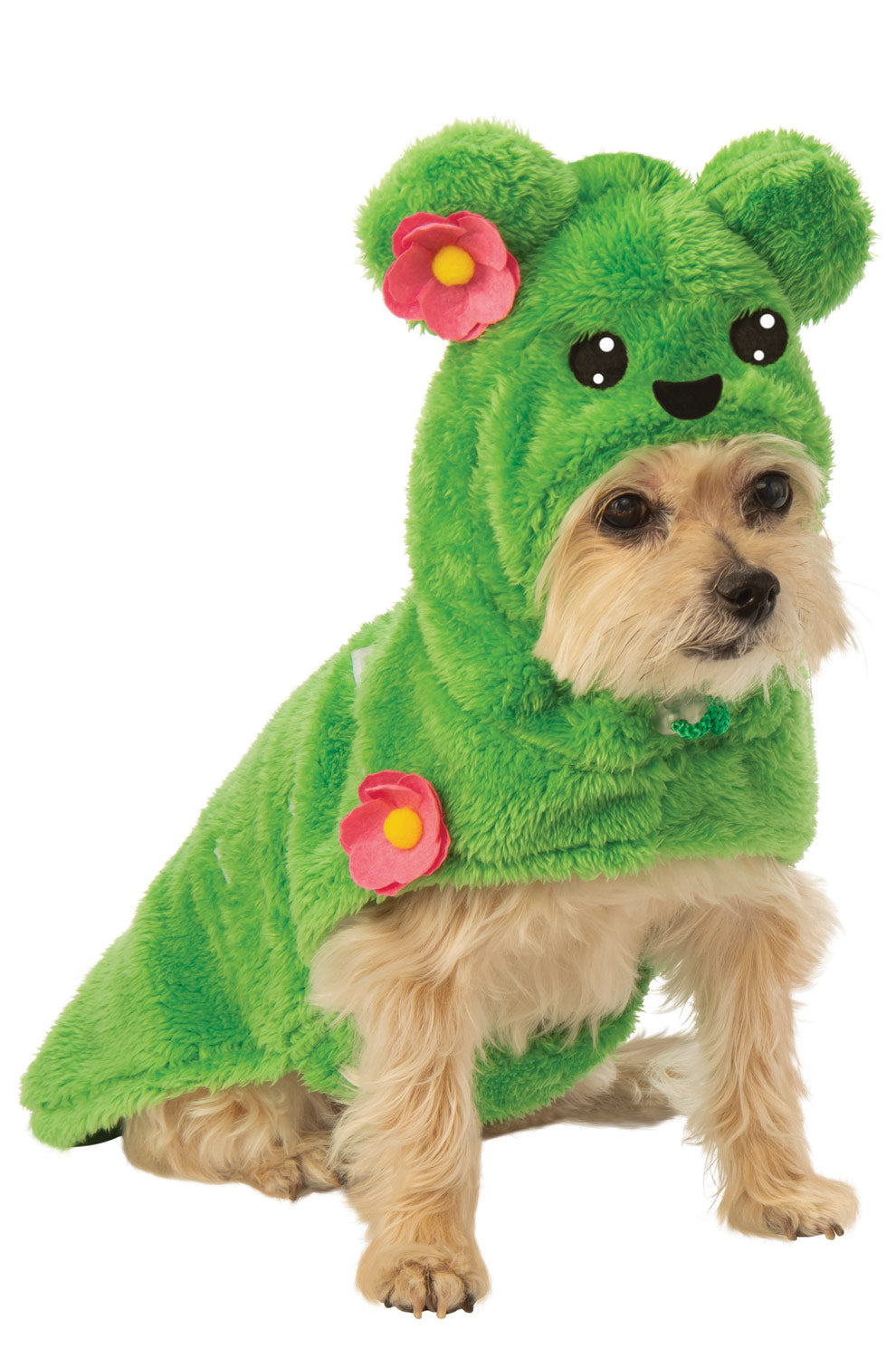 Cactus Pet Costume