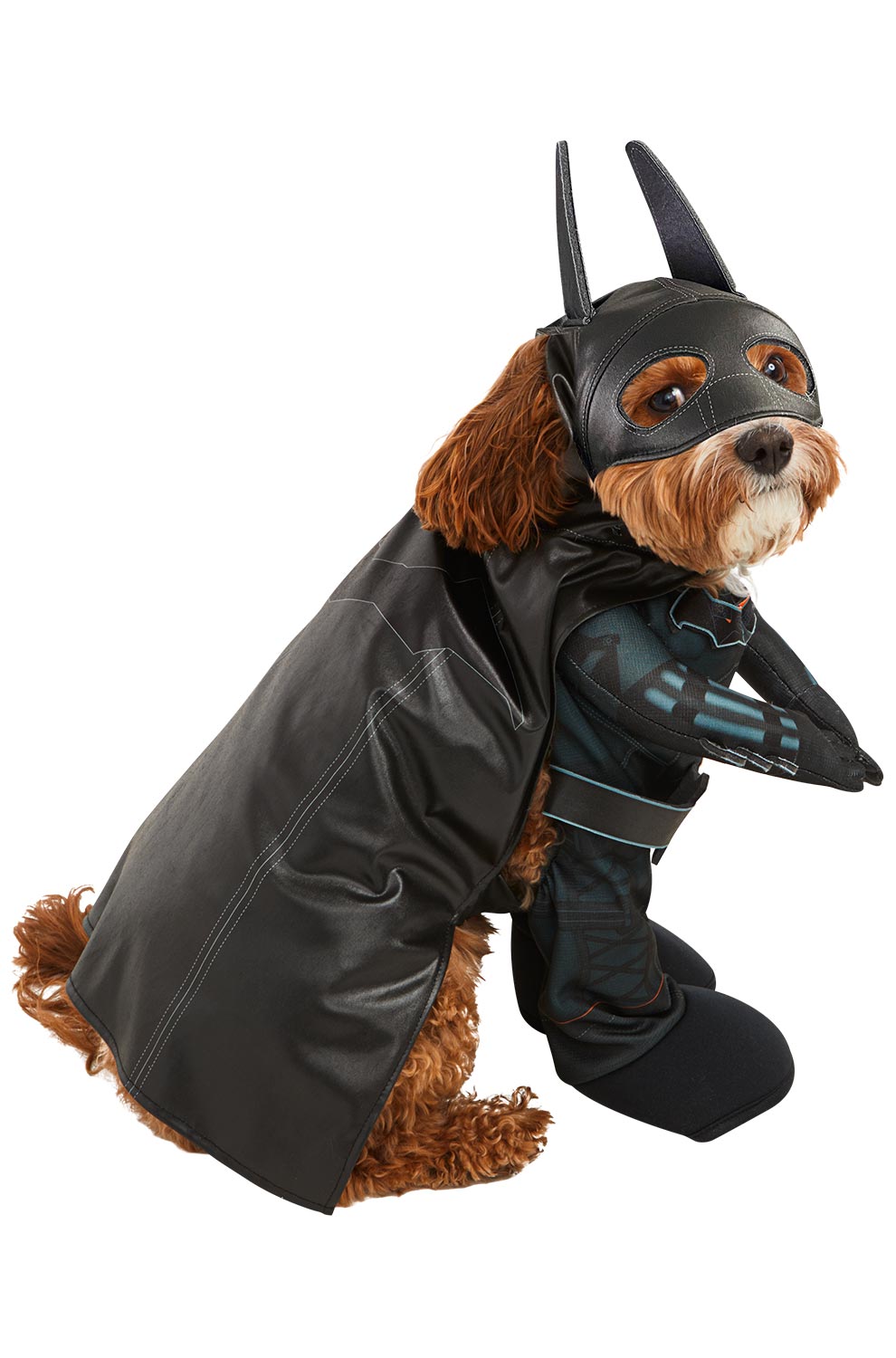The Batman Pet Costume