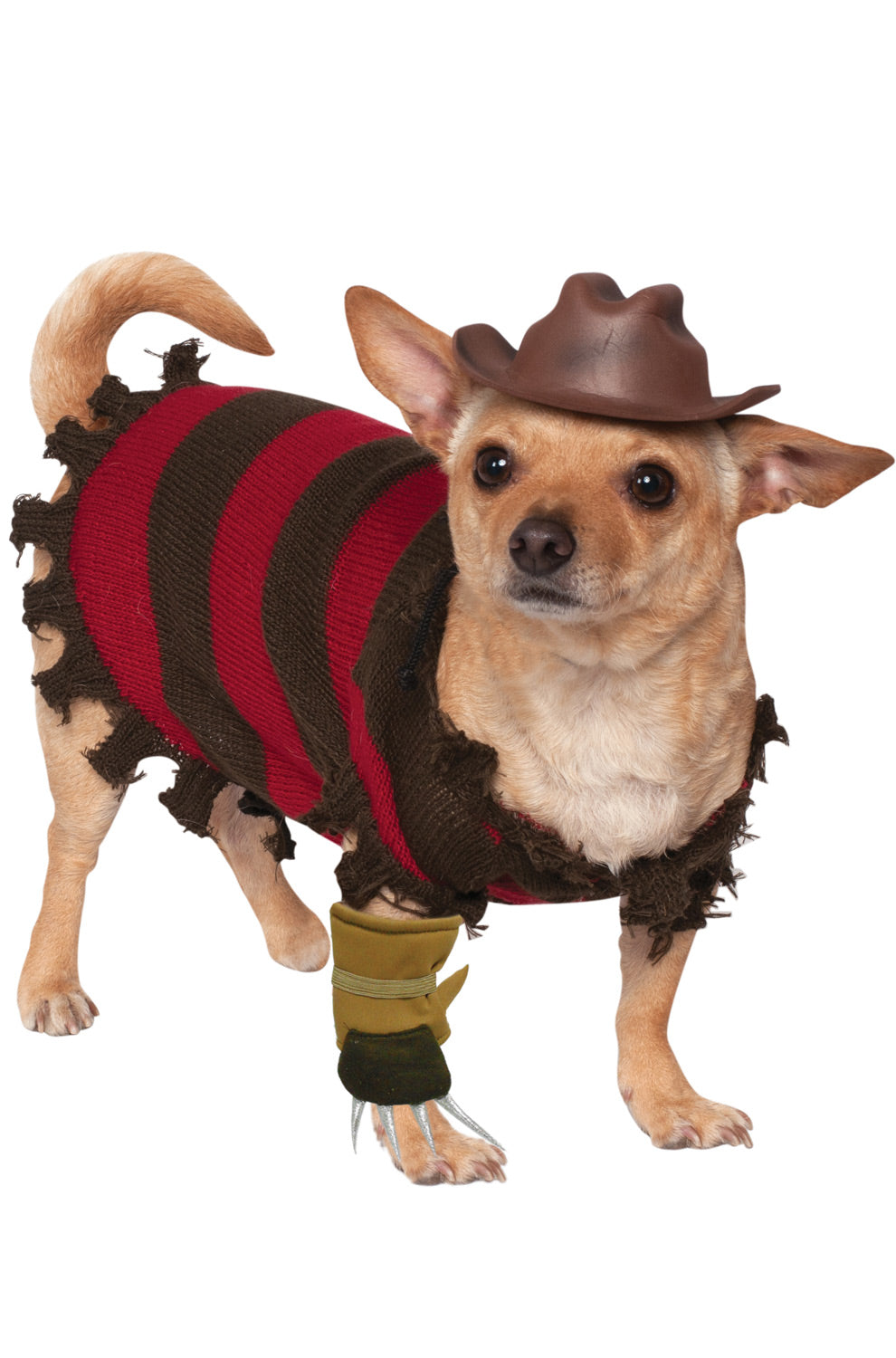 Freddy Krueger Pet Costume