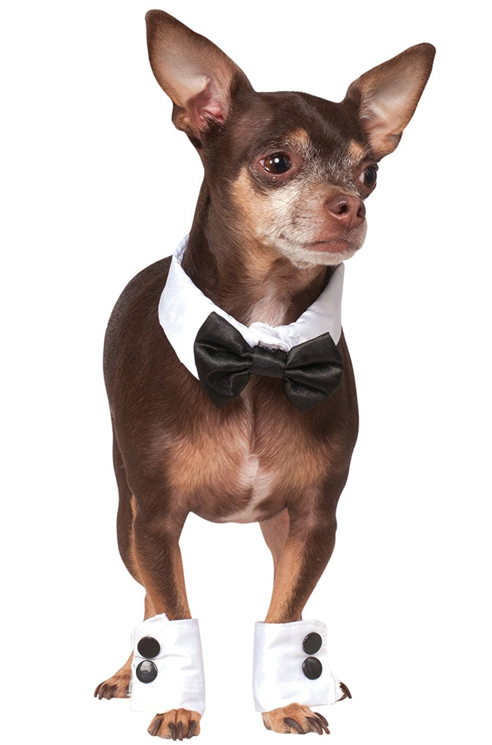 Tuxedo Bowtie and Cuffs Pet Accessory Set