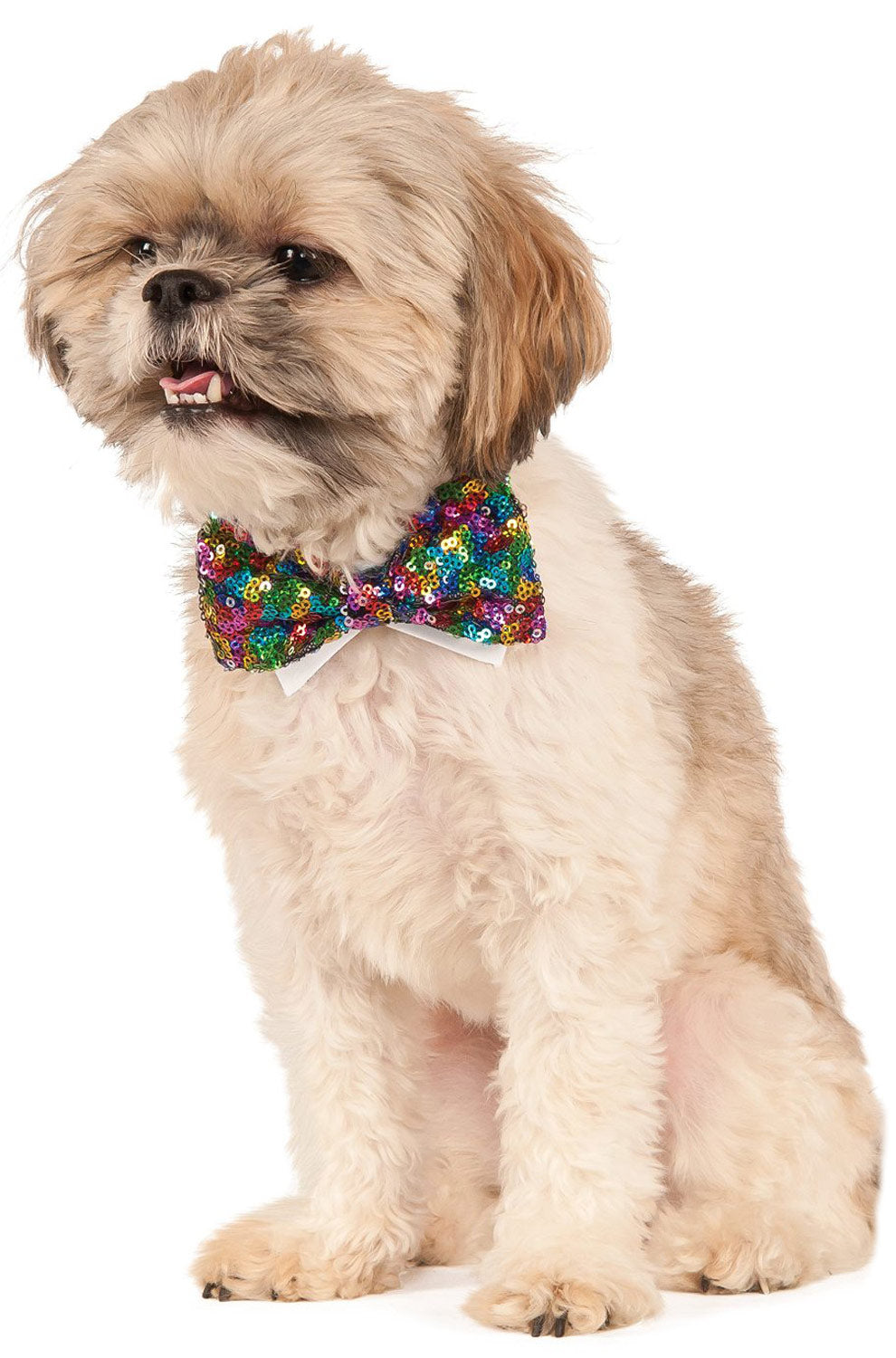 Rainbow Sequins Bowtie Pet Accessory