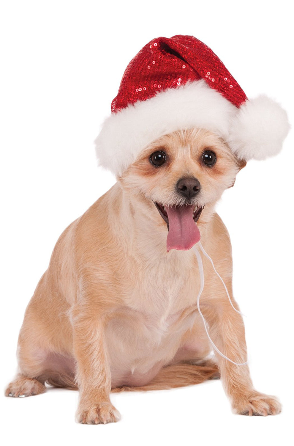 Red Sequin Hat Pet Costume