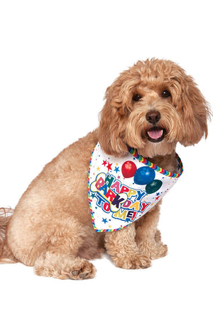 Barkday Bandana Pet Accessory