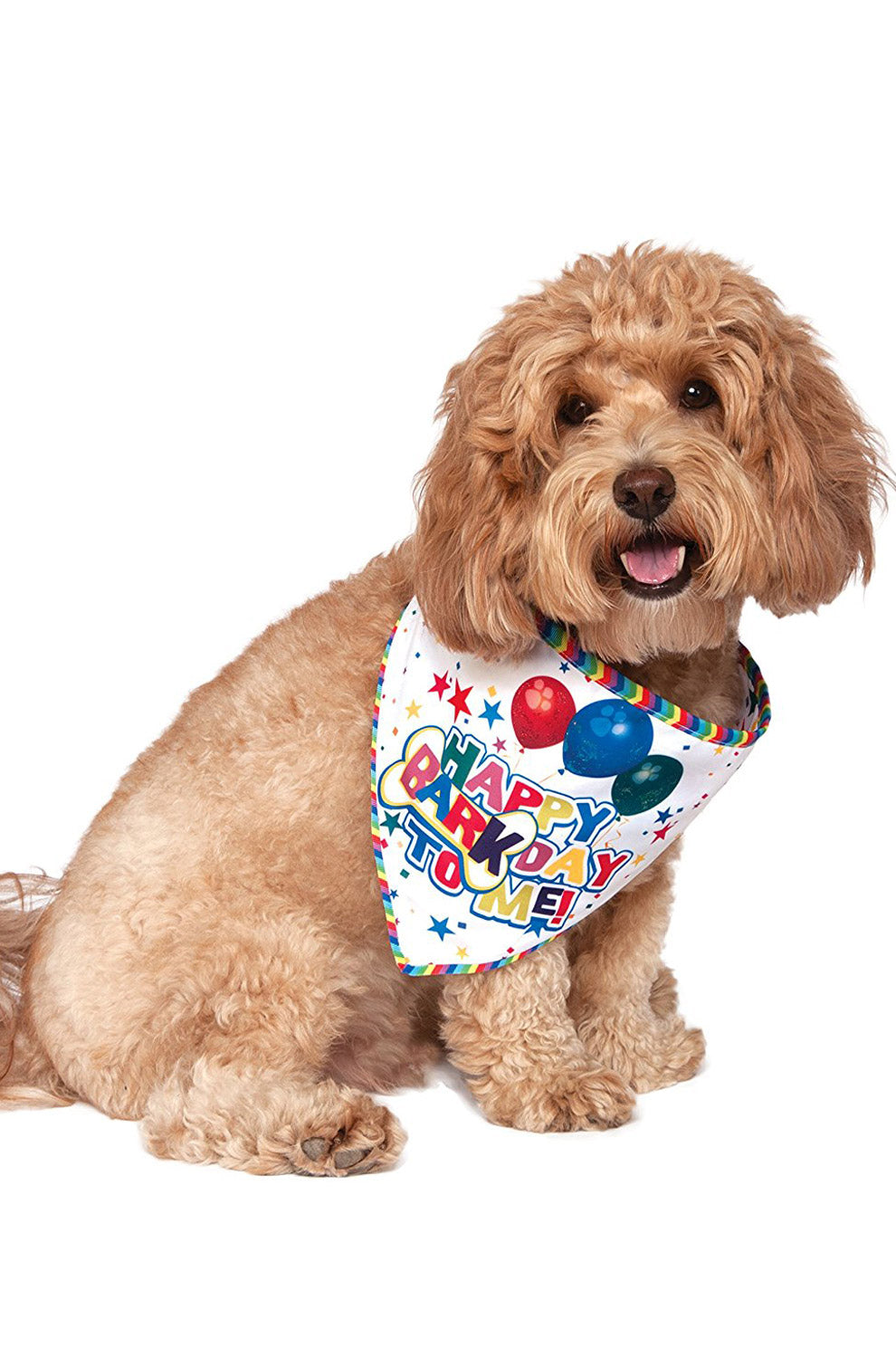 Barkday Bandana Pet Accessory