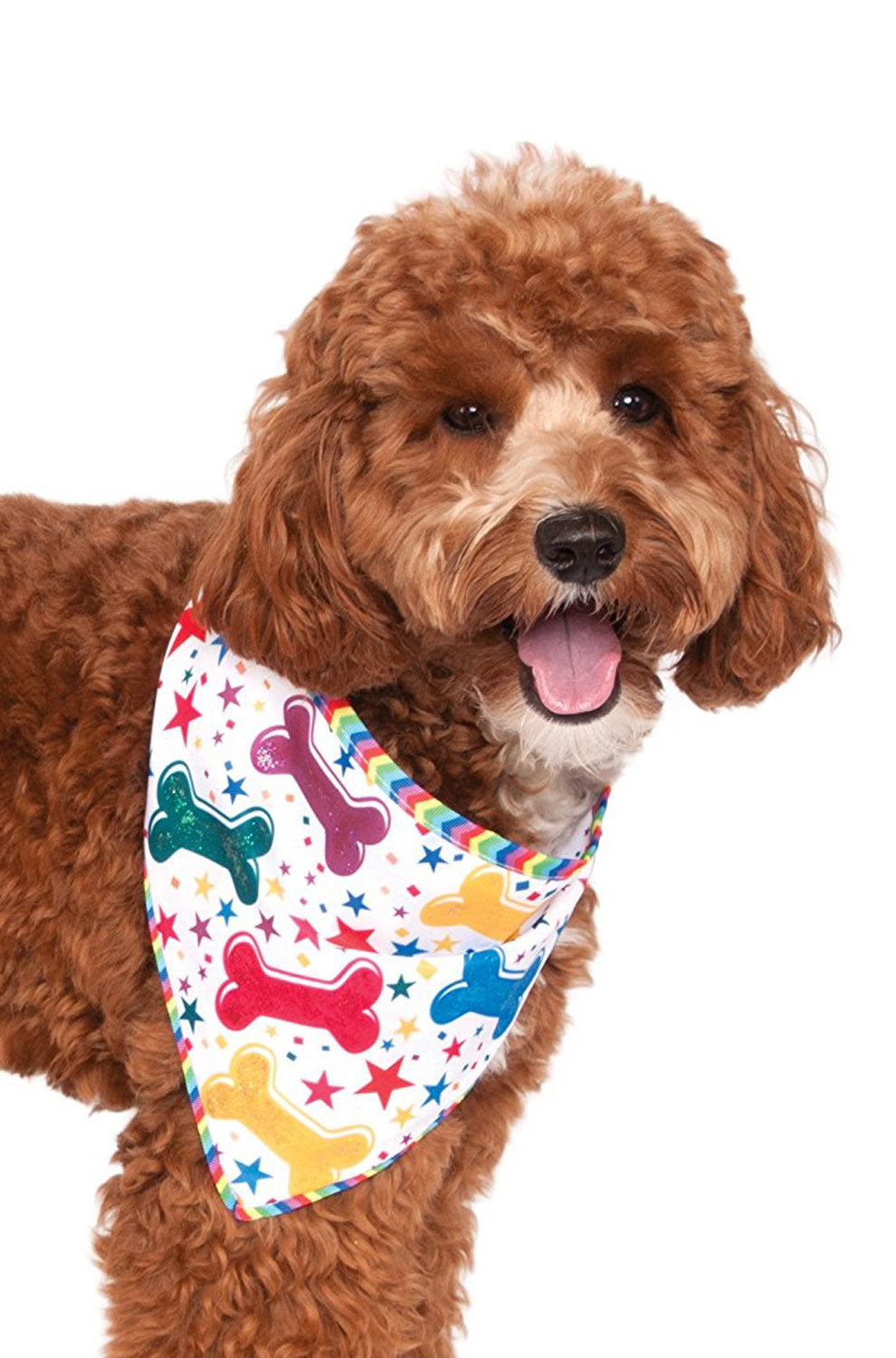 Barkday Bandana Pet Accessory