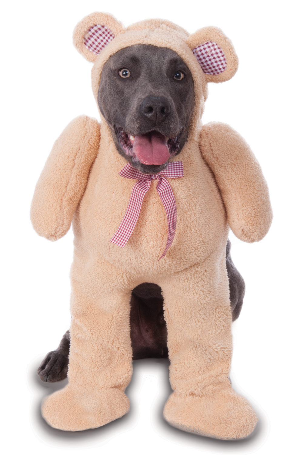 Walking Teddy Bear Big Dog Pet Costume