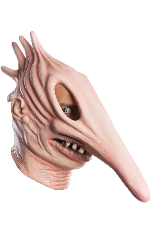 Beetlejuice Adam Adult Mask