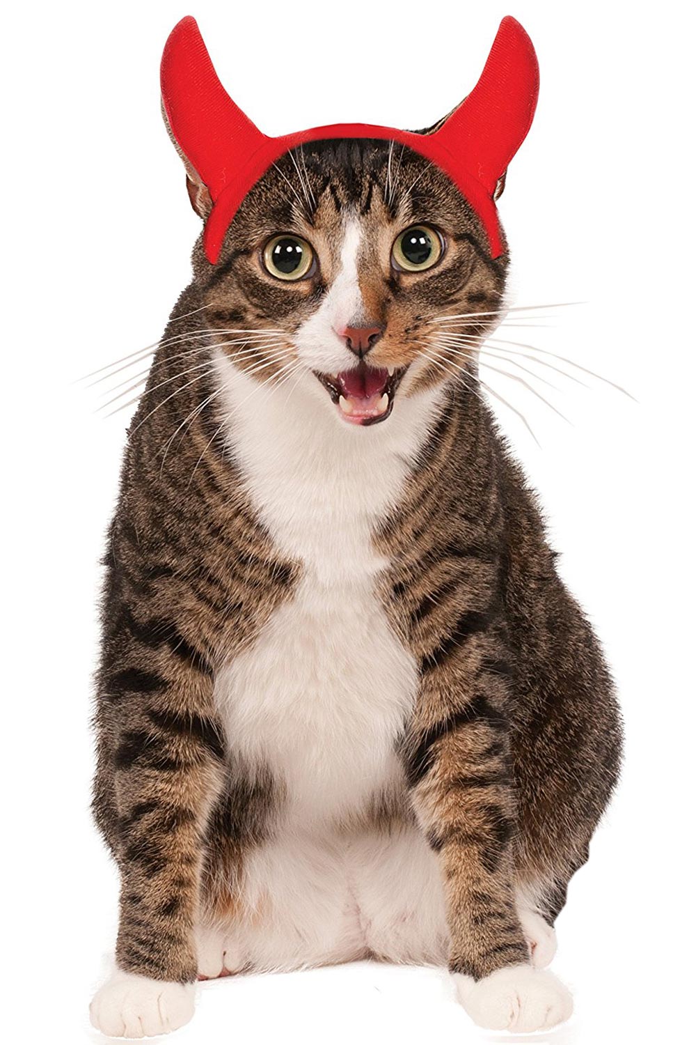 Devil Horns Pet Costume