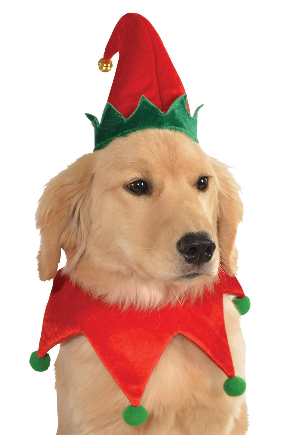 Elf Pet Costume Kit