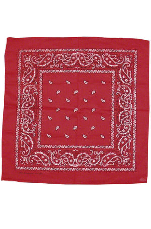 Cowboy Bandana Accessory