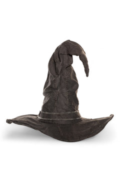 Adult Witch/Wizard Hat (Grey)